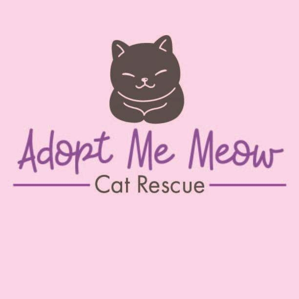 Adopt Me Meow Cat Rescue