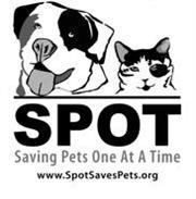 SPOT Saving Pets One at a Time