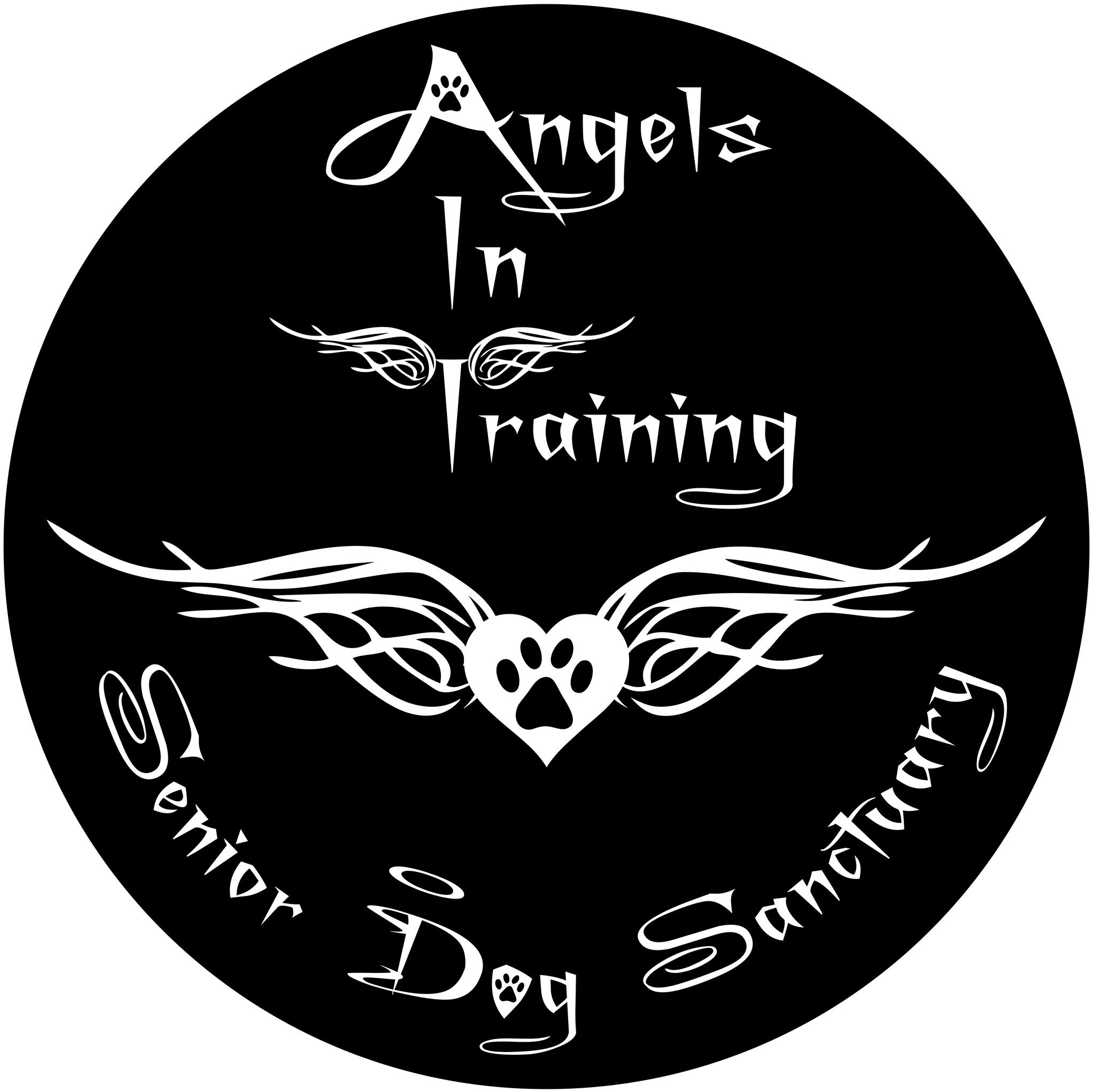 Angels In Training