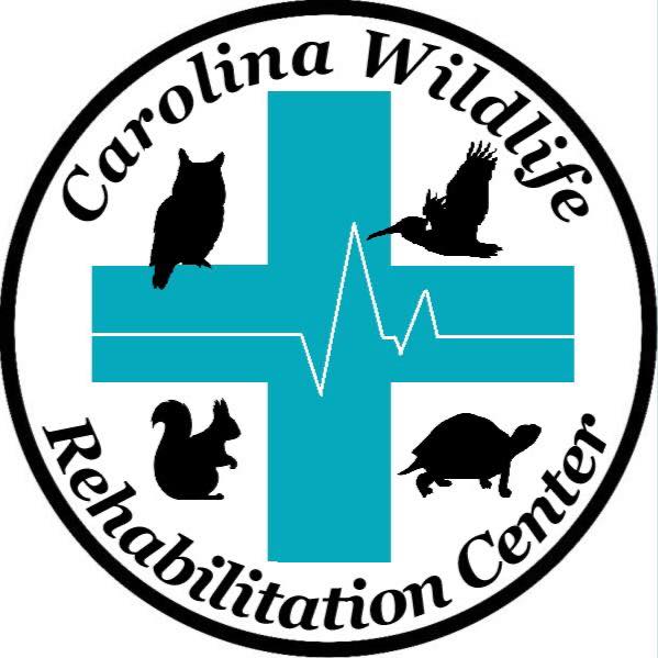 Carolina Wildlife Rehabilitation Center