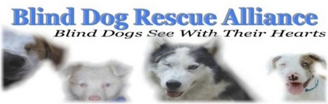 Blind Dog Rescue Alliance