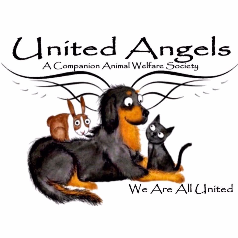 United Angels