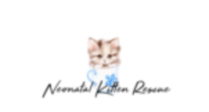Neonatal Kitten Rescue