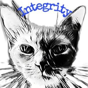 Integrity Cat Rescue