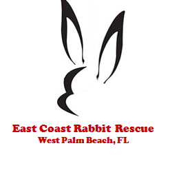 East Coast Rabbit Rescue Inc.