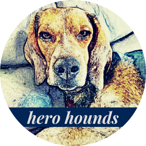 HERO Hound Rescue - Hound Education & Rescue Operations