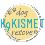 K9 Kismet Dog Rescue