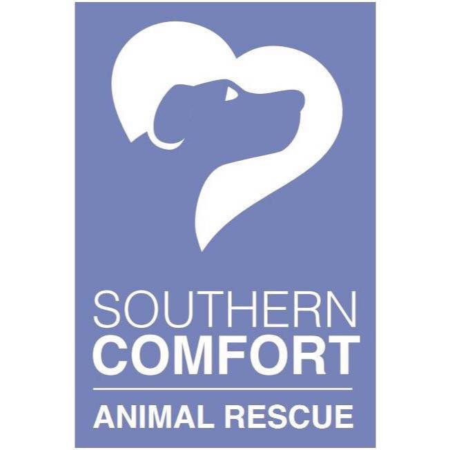 Southern Comfort Animal Rescue | CUDDLY