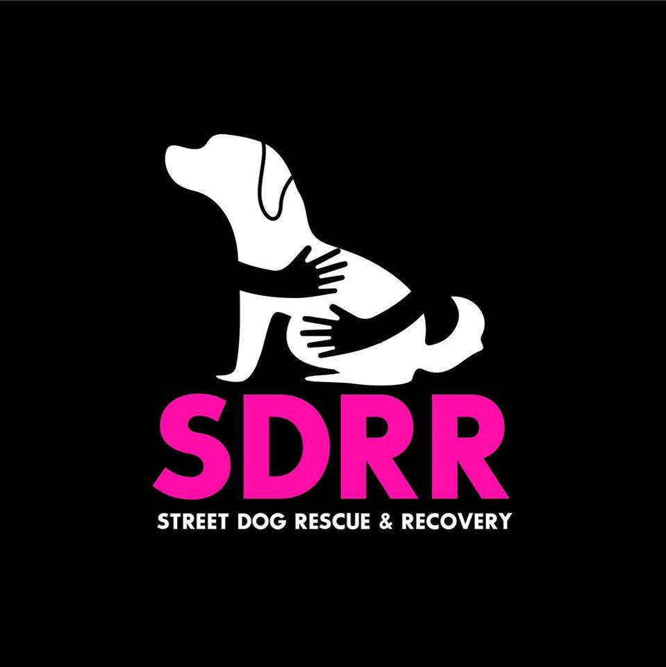 Street Dog Rescue and Recovery