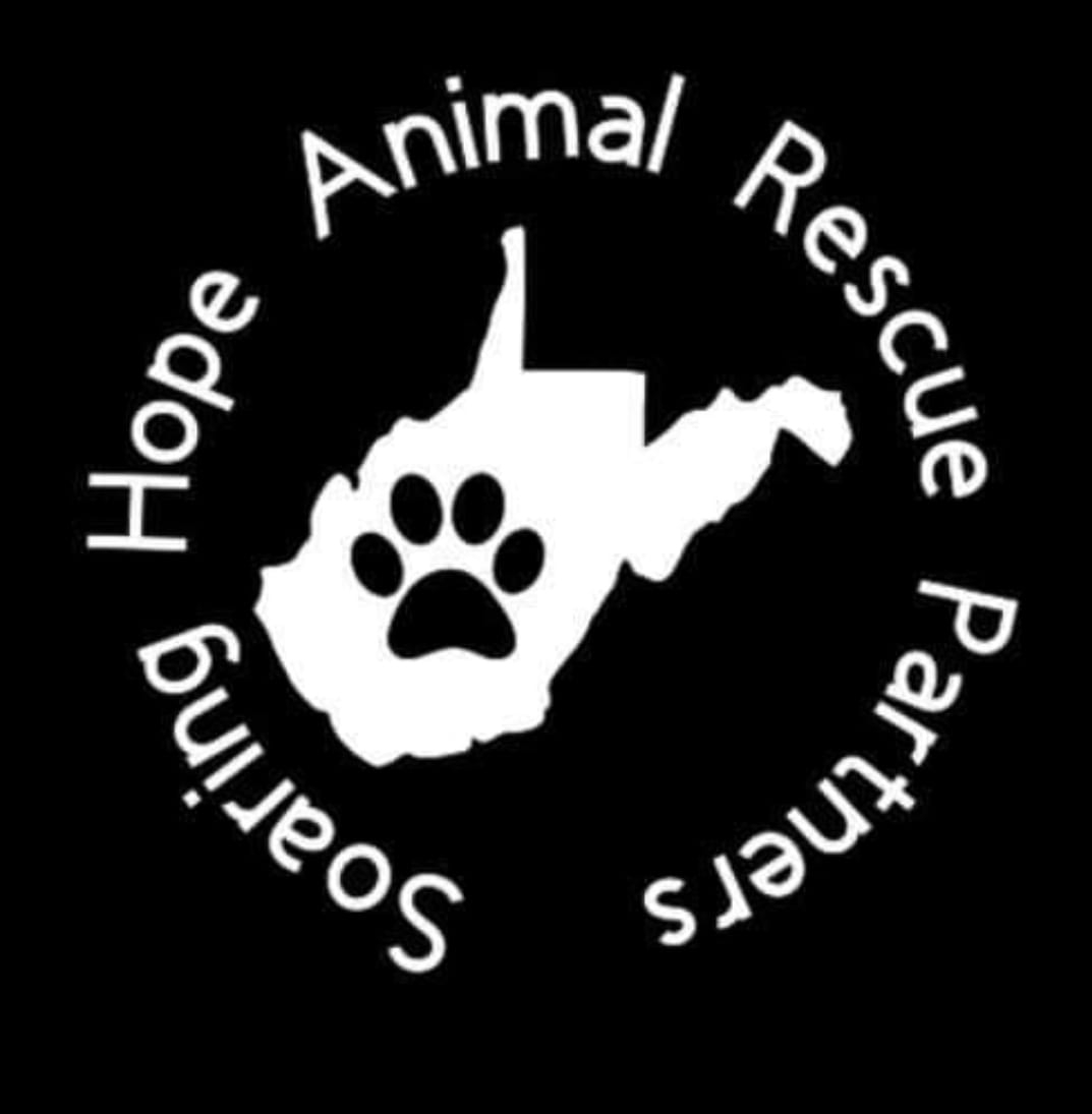  Soaring Hope Animal Rescue