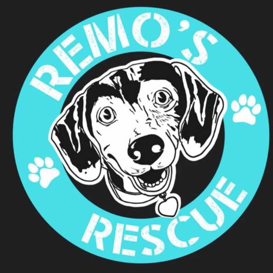 Remo's Rescue