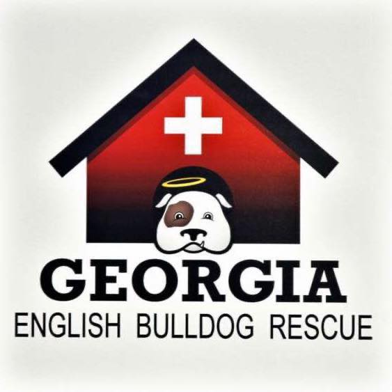 Georgia English Bulldog Rescue