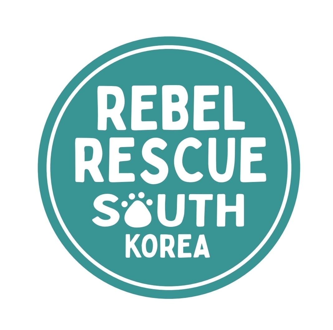 Rebel Rescue South Korea