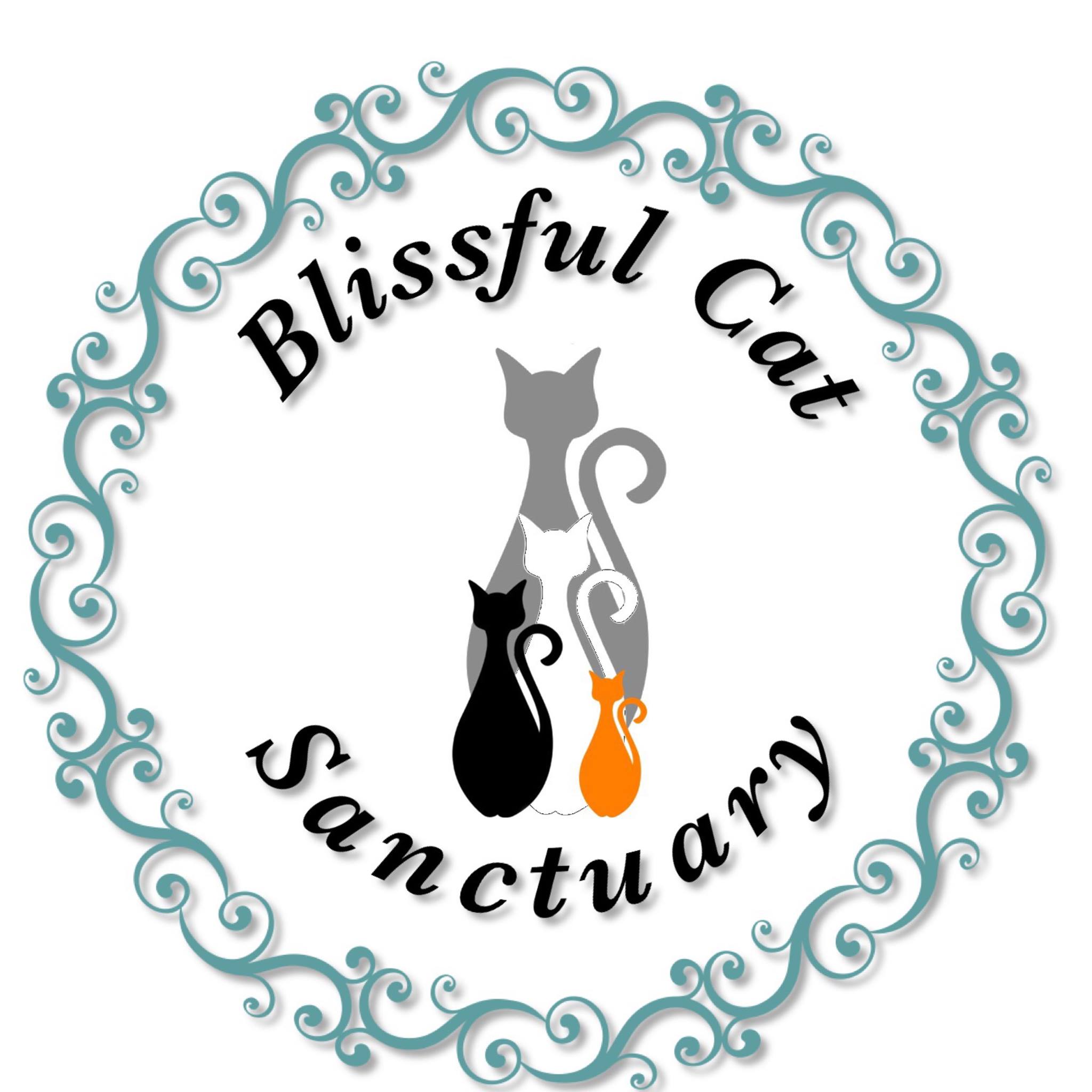 Blissful Cat Sanctuary