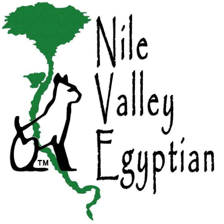 Nile Valley Egyptian Foundation Inc.