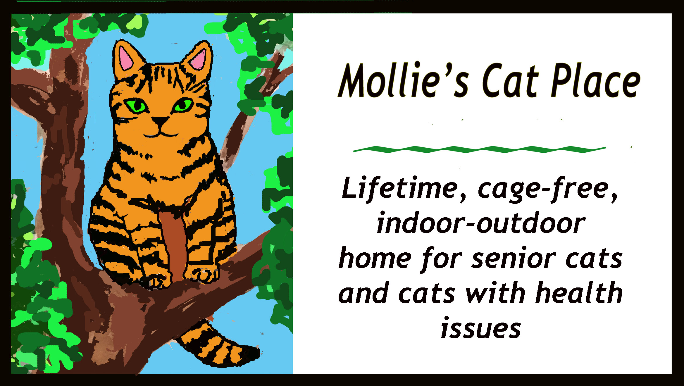 Mollie's Cat Place