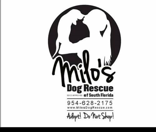 Milo's Dog Rescue of South Florida