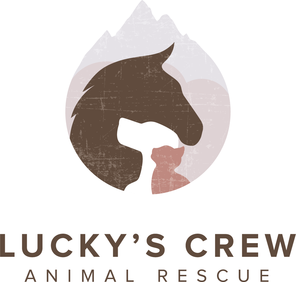 Lucky's Crew Animal Rescue