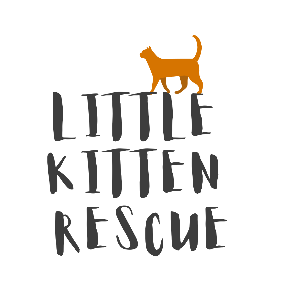 Little Kitten Rescue