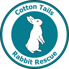 Cotton Tails Rabbit Rescue, Inc.