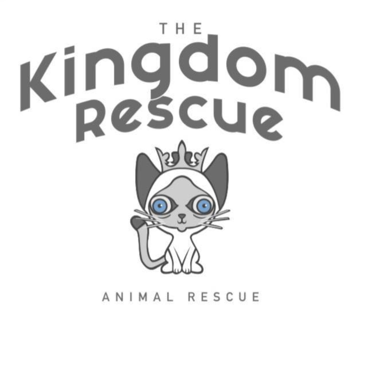 The Kingdom Rescue
