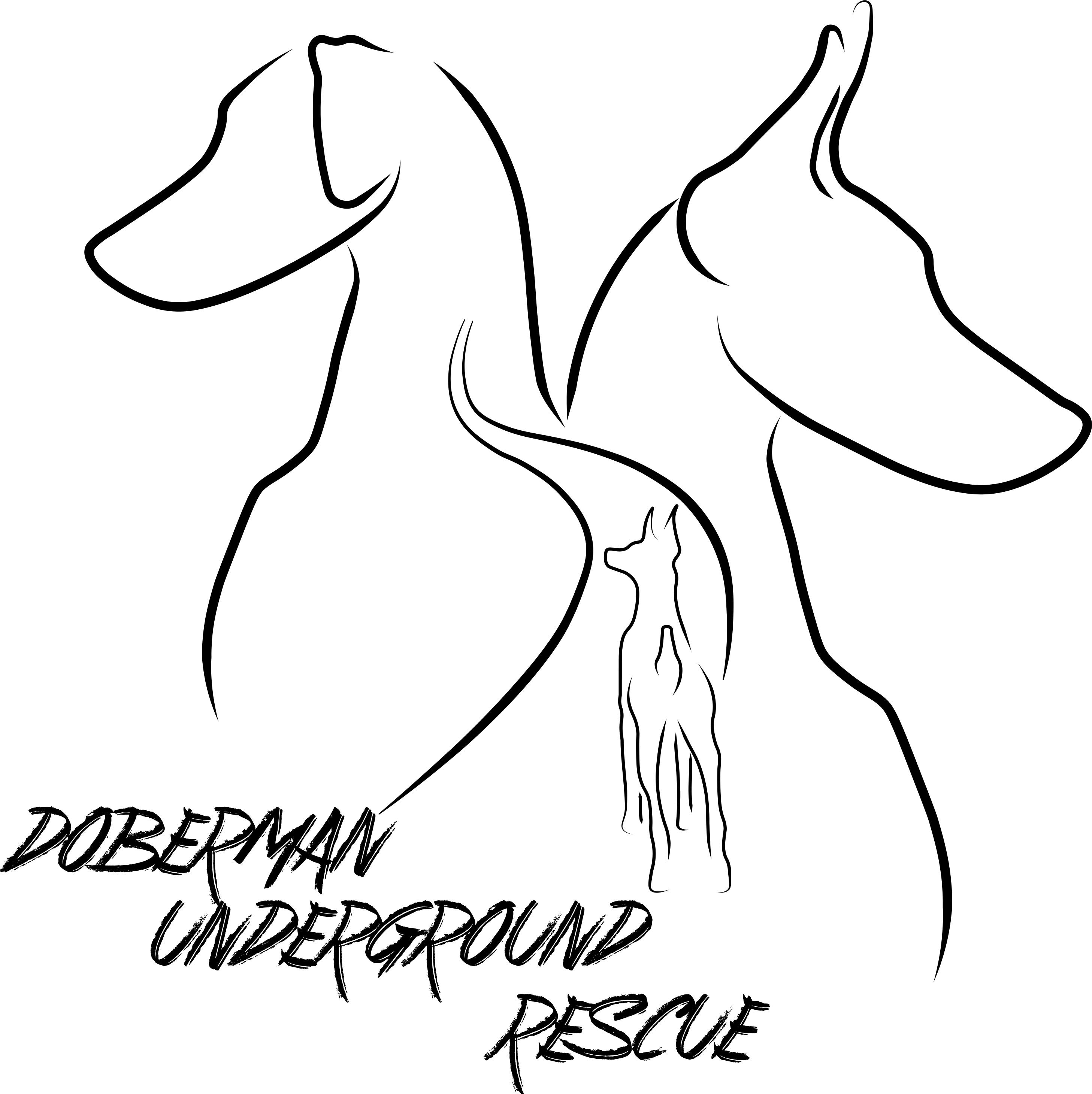 Doberman Underground | CUDDLY