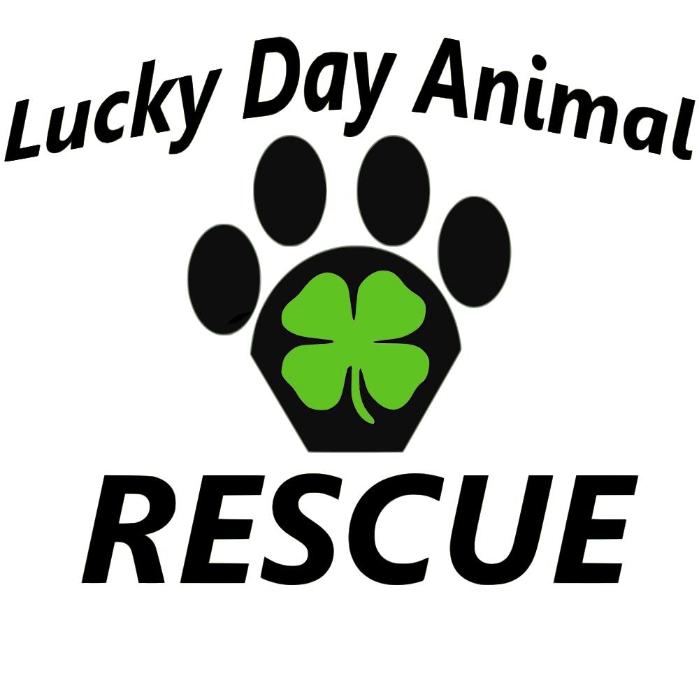 Lucky Day Animal Rescue