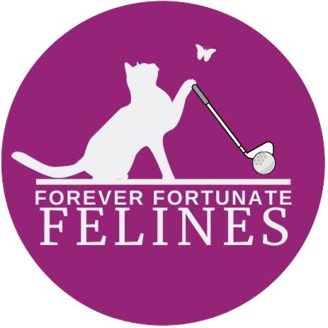 Forever Fortunate Felines