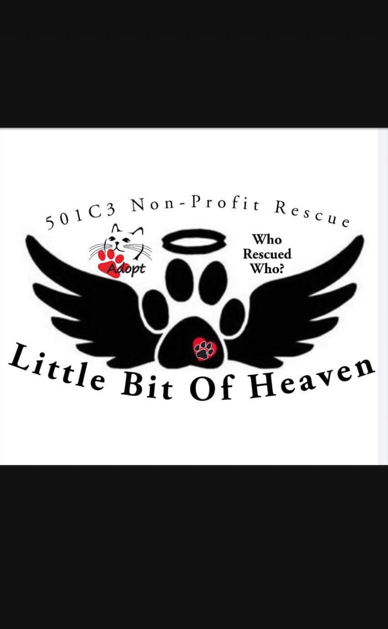 A Little Bit of Heaven Rescue