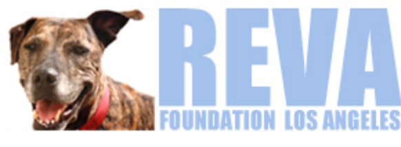 Reva Foundation