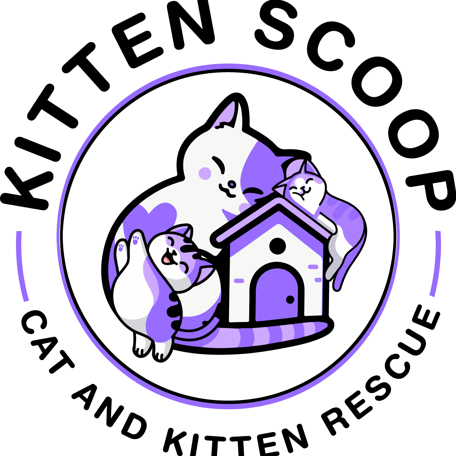 Kitten Scoop