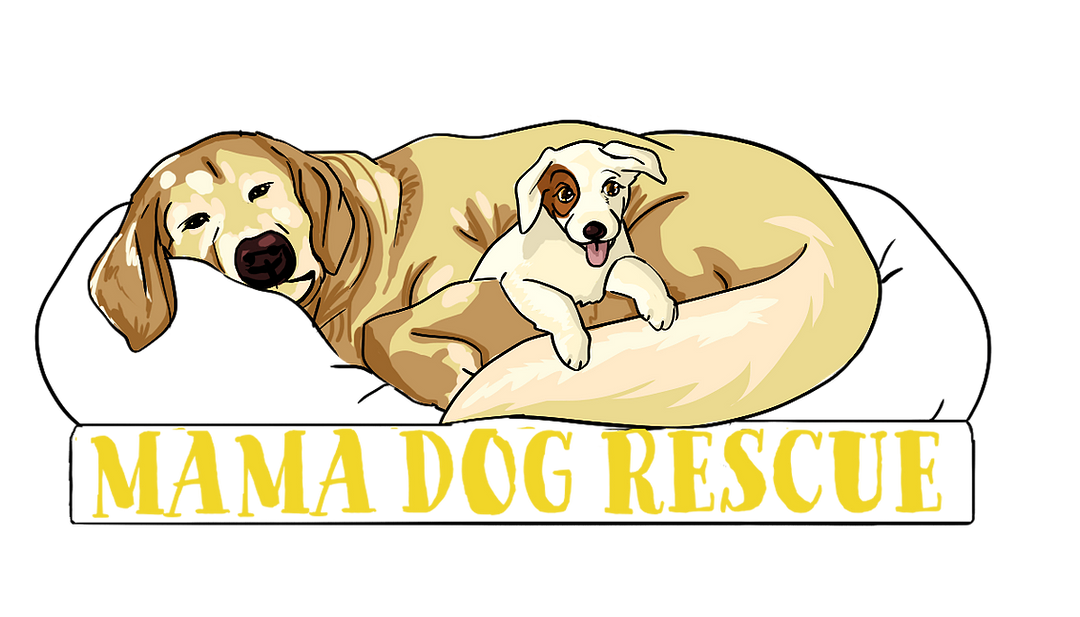 Mama Dog Rescue