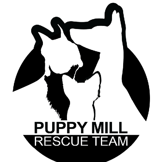 puppy mill rescue team