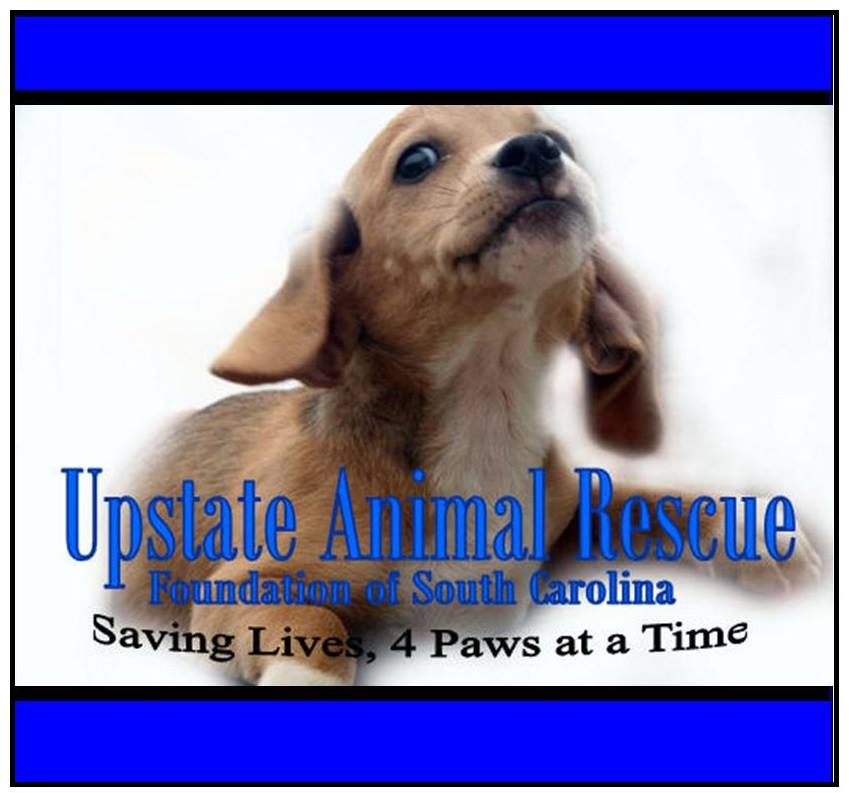 Upstate Animal Rescue Foundation of SC