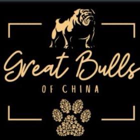 Great Bulls of China