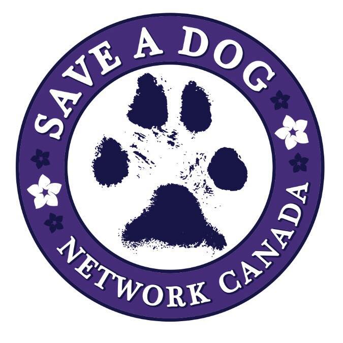 Save A Dog Network Canada