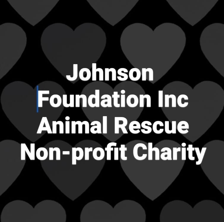 Johnson Foundation Inc.