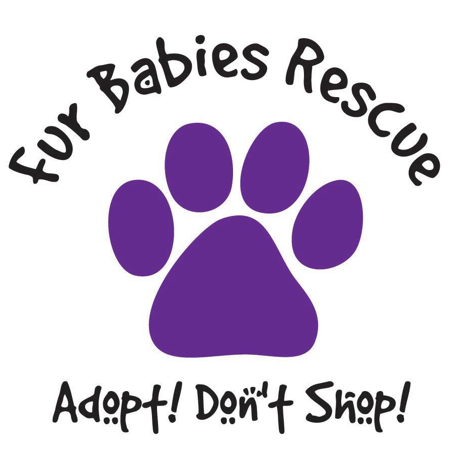 Fur Babies Rescue and Referral Inc. 