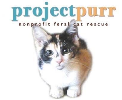 Project Purr