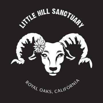 Little Hill Sanctuary