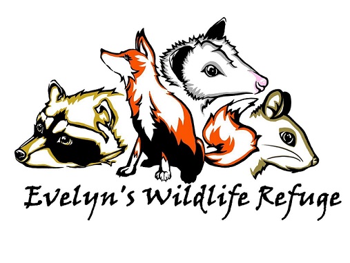 Evelyn's Wildlife Refuge