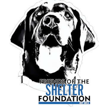 Friends of the Shelter Foundation | CUDDLY