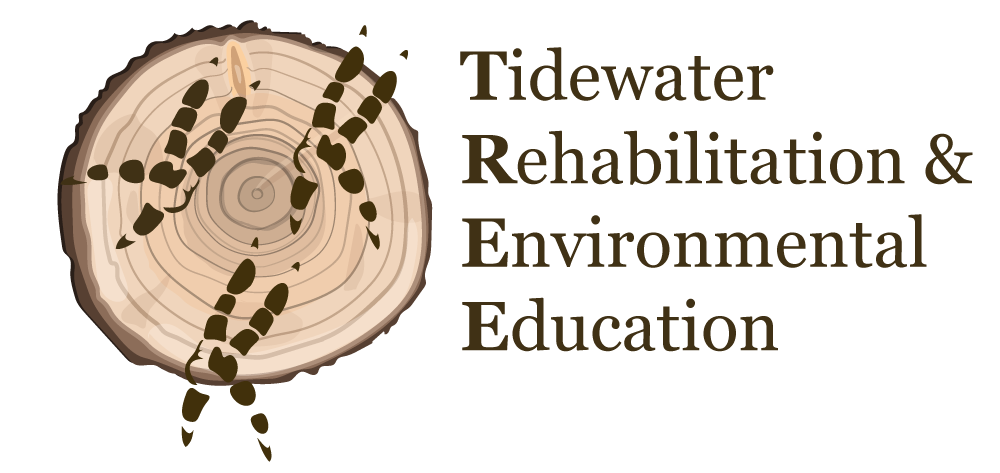 Tidewater Rehabilitation & Environmental Education