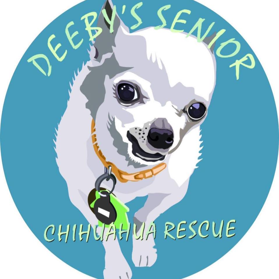 Deeby's Senior Chihuahua Rescue