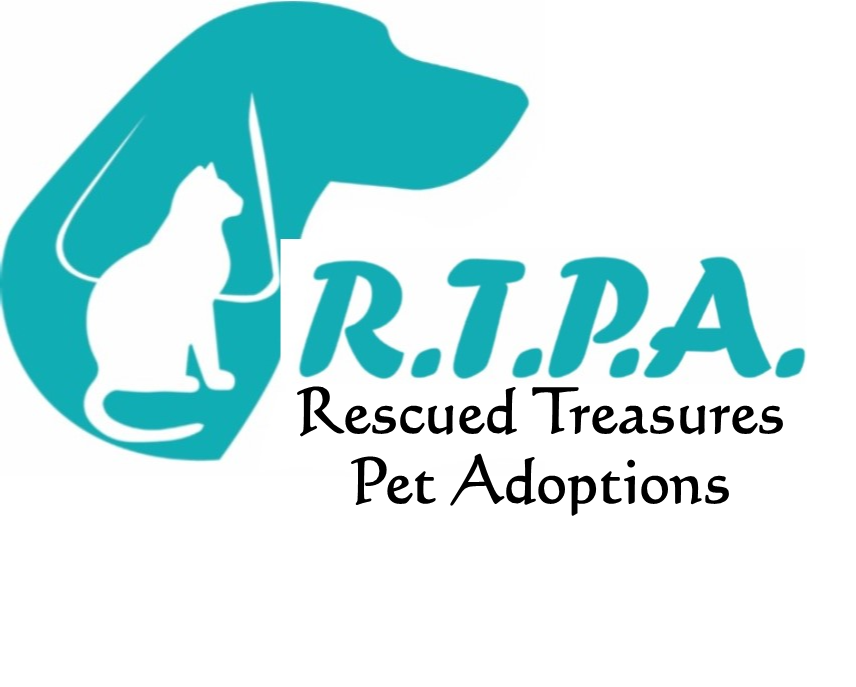 Rescued Treasures Pet Adoptions