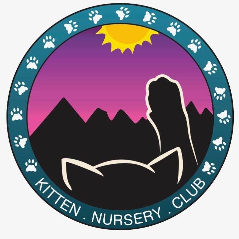 Kitten Nursery Club