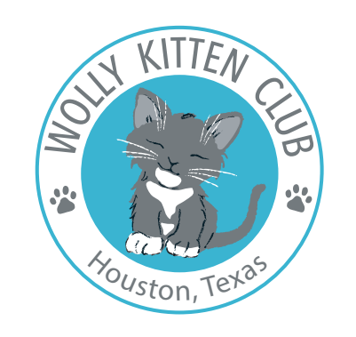 Wolly Kitten Club