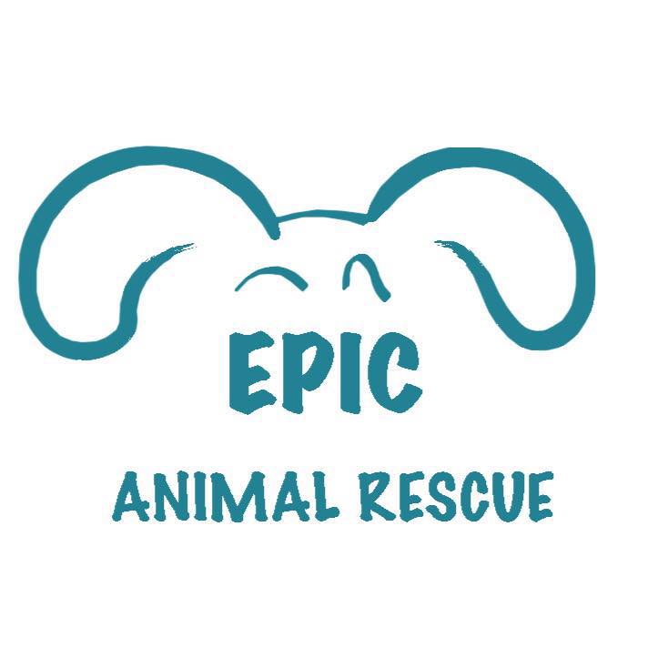 Epic Animal Rescue