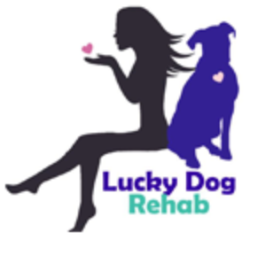 Lucky Dog Rehabilitation Center