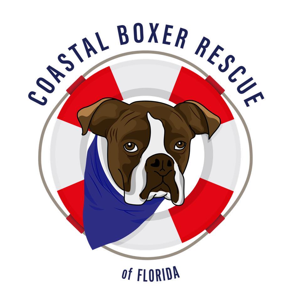 Coastal Boxer Rescue